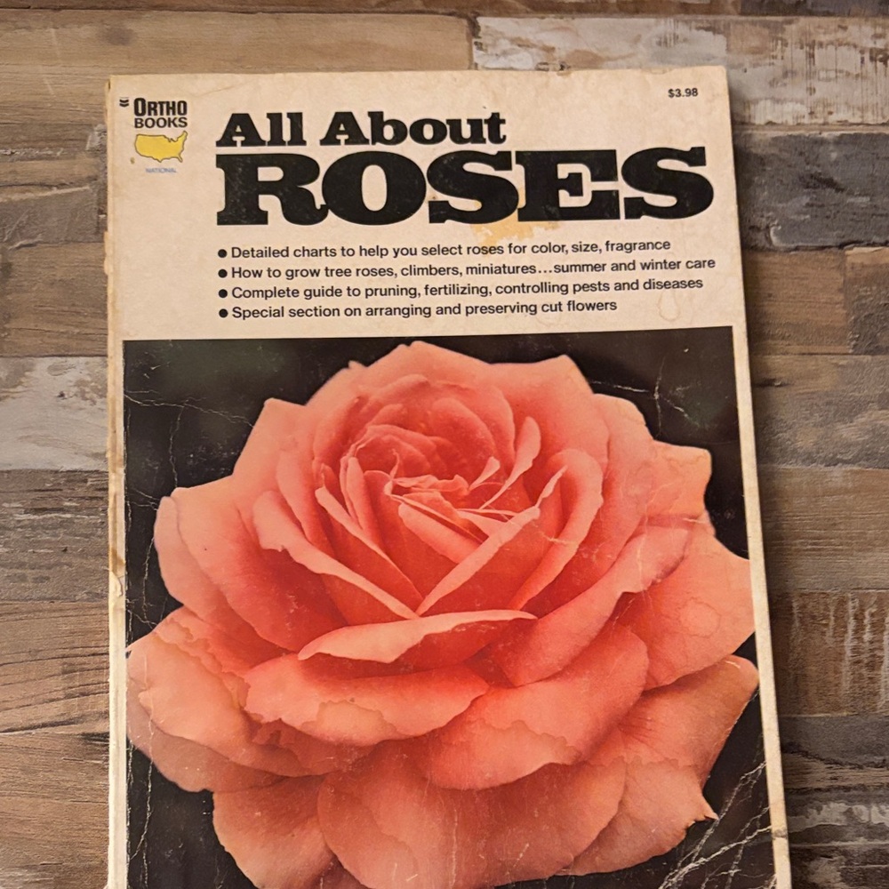All About Roses - Pink